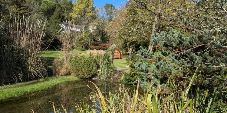 A pretty garden in the heart of Charente